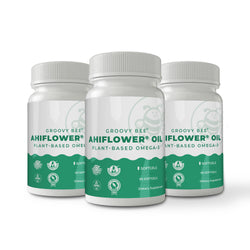 Groovy Bee® Ahiflower Oil 90 Softgels - Plant-Based Omega 3-6-9 (3-Pack)