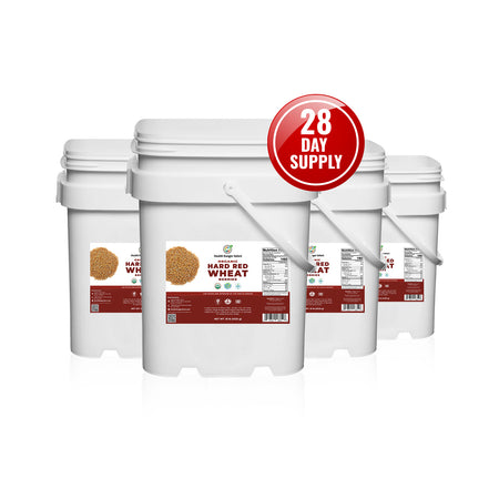 28 Days Food Supply (1 Adult) Organic Hard Red Wheat Berries 10LB (4535g) (4-Buckets)