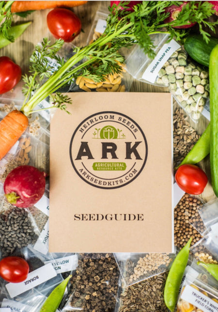 All-In-One Vegetable Seed Kit