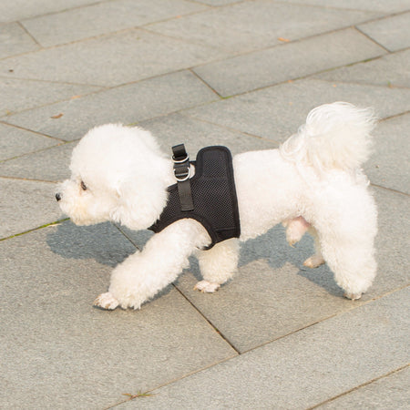 Mr. Peanut's PupTrek Harness and Leash Set,  Small Dog/Cat Soft Mesh Step In Harness Vest