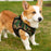 Mr. Peanut's PupTrek Harness and Leash Set,  Small Dog/Cat Soft Mesh Step In Harness Vest