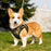 Mr. Peanut's PupTrek Harness and Leash Set,  Small Dog/Cat Soft Mesh Step In Harness Vest