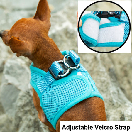 Mr. Peanut's PupTrek Harness and Leash Set,  Small Dog/Cat Soft Mesh Step In Harness Vest