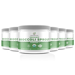 Organic Broccoli Sprout Powder 4oz (113g) (6-Pack)