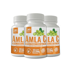 Amla C (Natural Vitamin C from Amla Fruit) 60 Caps (500 mg each) (Made With Organic Ingredients) (3-Pack)