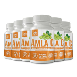 Amla C (Natural Vitamin C from Amla Fruit) 60 Caps (500 mg each) (Made With Organic Ingredients) (6-Pack)