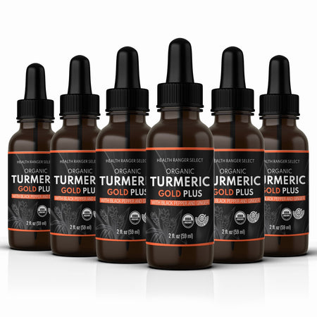 Organic Turmeric Gold Plus with Black Pepper and Ginger 2 fl. oz (59 ml) (6-Pack)