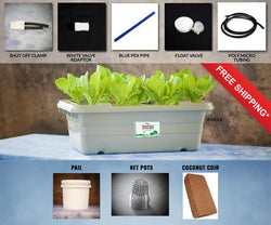 Food Rising Mini-Farm Grow Box 2.0 (Strawberries Starter Kit with 4-hole Lid) (Ship within 2-6 business days)
